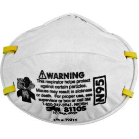 8110S N95 Disposable Particulate Respirators, Small, 20/Box