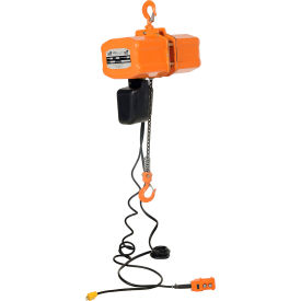 Economy Electric Chain Hoist, 1 Ton Capacity, 15' Lift, 17 FPM, 220V