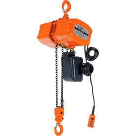 Economy Electric Chain Hoist, 2 Ton Capacity, 15' Lift, 16 FPM, 440V