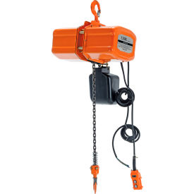 Economy Electric Chain Hoist, 1/2 Ton Capacity, 15' Lift, 17 FPM, 220V