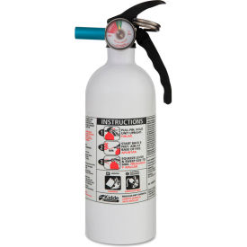Automobile Fire Dry Chemical Extinguishers
