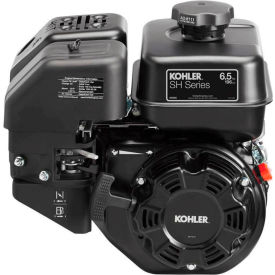 Gas Engine, Horizontal Shaft, 6-1/2 HP, 39.68 lb. wt.