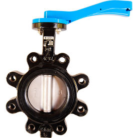 Legend Valve T-365SS Butterfly Valve with EPDM Seals & 10 Position Handle, 2-1/2" Lug