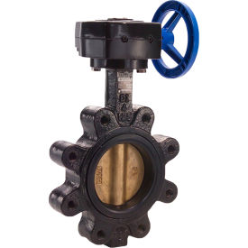 Butterfly Valve with BUNA Seals & Gear Operator, 10" Lug