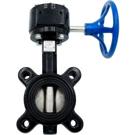 Butterfly Valve with BUNA Seals & Gear Operator, 12" Lug