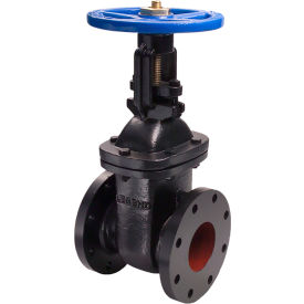 12" Flanged Gate Valve, Cast Iron
