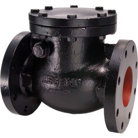 6" Flanged Cast Iron Swing Check Valve