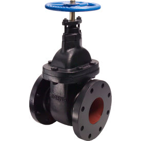 T-301 Non-Rising Stem Gate Valve, Cast Iron, 8" Flanged