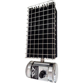 Explosion-Proof Convection Single Unit Heater with Thermostat, 750W, 120V, 1 Phase