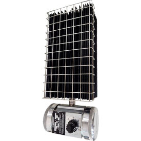 Explosion-Proof Convection Single Unit Heater with T'stat, 1000W, 120V, 1 Phase
