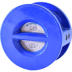 T-312 Ductile Iron Check Valve with EPDM Seats, Stainless Steel Disc, 12" Wafer