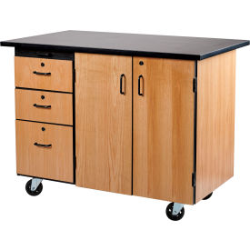 Mobile Science Cabinet w/ Drawer & Pegboard, Chemical Resistant Top, 48"L x 28"W x 36-1/4"H, Oak