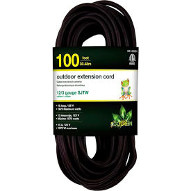SJTW Heavy Duty Extension Cord, 1 Outlet, 12/3 Gauge, 100 Feet Long, Black