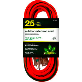 Heavy Duty Extension Cord, 1 Outlet, 12/3 Gauge, 25 Feet Long, Black
