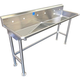 ADA SS Sink, 3 Station Body Only, Floor Mount, Sloped Drain, 60"L x 20"W x 6"D Sink