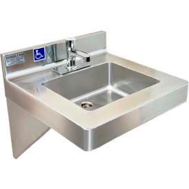 ADA SS Hand Sink, 1 Station with Metering Faucet, Wall Mount, 20"L x 19"W x 5-1/2"D Sink