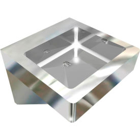 ADA SS Flat Sink, 1 Station Body Only, Wall Mount, 18"L x 18"W x 5"D Sink