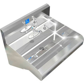 Elite ADA SS Sink, 1 Station with Metering Faucet, Wall Mount, 24"L x 21"W x 5"D Sink
