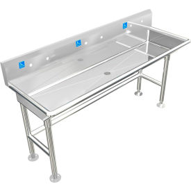 ADA SS Sink, 3 Station Body Only, Floor Mount, 5" Backsplash, 60"L x 20"W x 6"D Sink