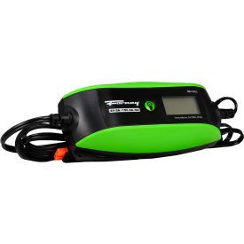 Battery/Trickle Charger, 6V/12V at 2 & 4 AMPs, Black/Green