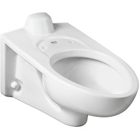 Low Flow Elongated Flush Valve Toilet with Everclean, 1.1 - 1.6 GPF