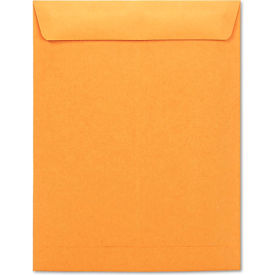 Gummed Catalog Envelopes, Gummed, 10"W x 13"H, Kraft, 250/Pack