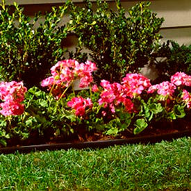 Professional-Grade Lawn Edging