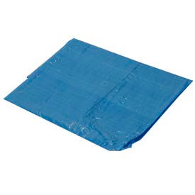Light Duty 2.9 oz. Tarp, Blue - 6' x 12'
