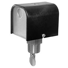 FS254 Flow Switch 1" NPT With Paddles