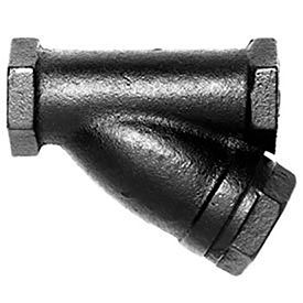 415C Y-Strainer 405015, 2" Npt