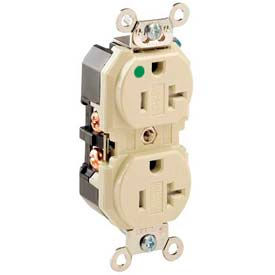 Duplex Receptacle, Straight Blade, Self Grounding, Ivory