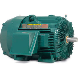 Motor: 150HP, 1785RPM, 3PH, 60HZ, 445T, TEFC, FOOT