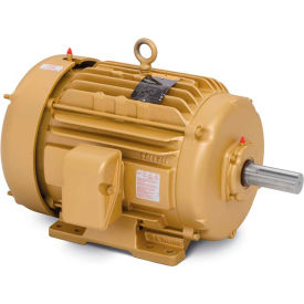 Motor: 15HP, 1765RPM, 3PH, 60HZ, 254T, TEFC, F1