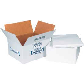 Foam Insulated Shipping Kit, 12"L x 10"W x 5"H, White, 4/Pack