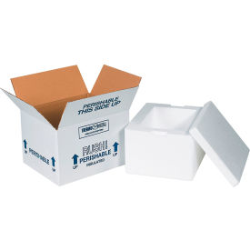 Foam Insulated Shipping Kit, 12"L x 10"W x 7"H, White