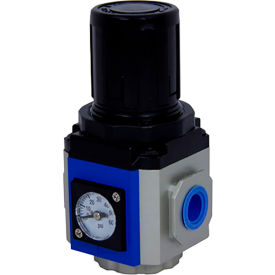 Port Adaptor, 1/8 NPT, Regulator & Filter-Regulator