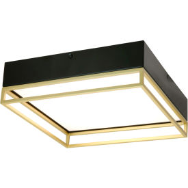 LED Double Square Decorative Light Fixture, 20W, 30/40/50K, 120V, 13"L, Black/Gold