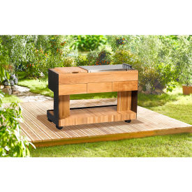 Outdoor Mobile Bistro Island, 4 Burner, Propane Gas, Teak/Black
