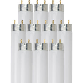 T8 Fluorescent Bulb, G13 Base, 32W, 3050 Lumens, 5000K, Daylight, Pack of 10