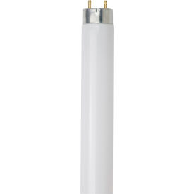 T8 Fluorescent Bulb, G13 Base, 32W, 3050 Lumens, 6500K, Daylight, Pack of 30