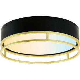 LED Double Round Decorative Light Fixture, 20W, 30/40/50K, 120V, 13"L, Black/Gold