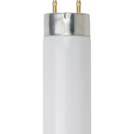 T8 Fluorescent Bulb, G13 Base, 25W, 2300 Lumens, 4100K Cool White, Pack of 30