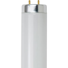 T12 Fluorescent Bulb, G13 Base, 40W, 2550 Lumens, 6500K, Daylight, Pack of 30