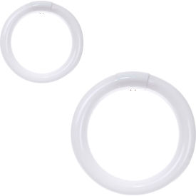 T9 Circline Fluorescent Bulb, G10q Base, 22W, 1250 Lumens, 4100K, Cool White, Pk of 2