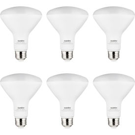 LED BR30 Recessed Light Bulb, E26 Base, 10.5W, 800 Lumens, 27K, Warm White, Pack of 6