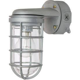 Vapor Tight Industrial Jar Fixture, Wall Mount, 100W, 120V, Metallic Finish