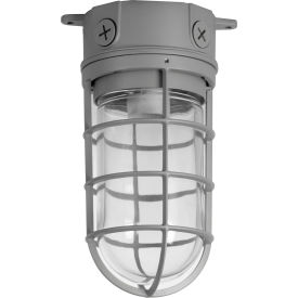 Vapor Tight Industrial Jar Fixture, Surface Mount, 100W, 120V, Metallic Finish