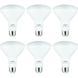 LED BR30 Recessed Light Bulb, E26 Base, 10.5W, 800 Lumens, 5000K, Daylight, Pack of 6