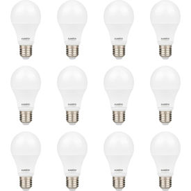 LED A19 Light Bulb, E26 Base, 6W, 480 Lumens, 4000K Cool White (Pack of 12)