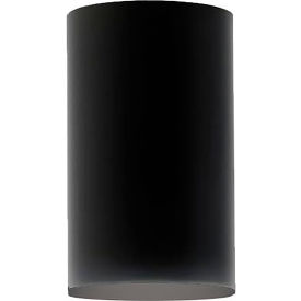 Modern Outdoor Cylinder Flush Mount Light Fixture, E26 Medium Base, 60W, Black